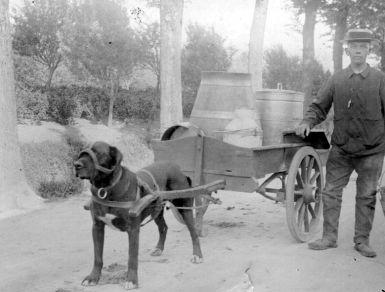 1925 - Het oudste tastbare bewijs van onze transportgeschiedenis