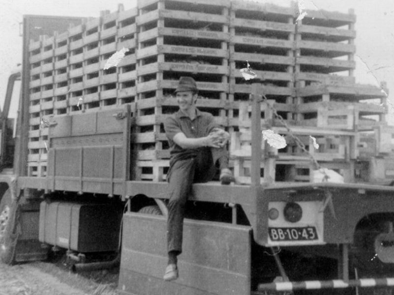 1970 - Goedgemutst bollen rijden van het land naar de schuur. Het bloembollentransport was al vroeg een specialiteit van Gam Bakker